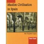 Muslim Civilization in Spain